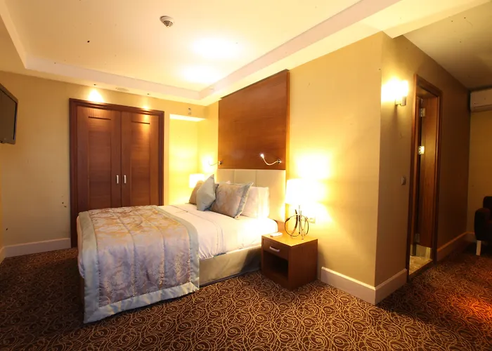 فندق New Park 5*