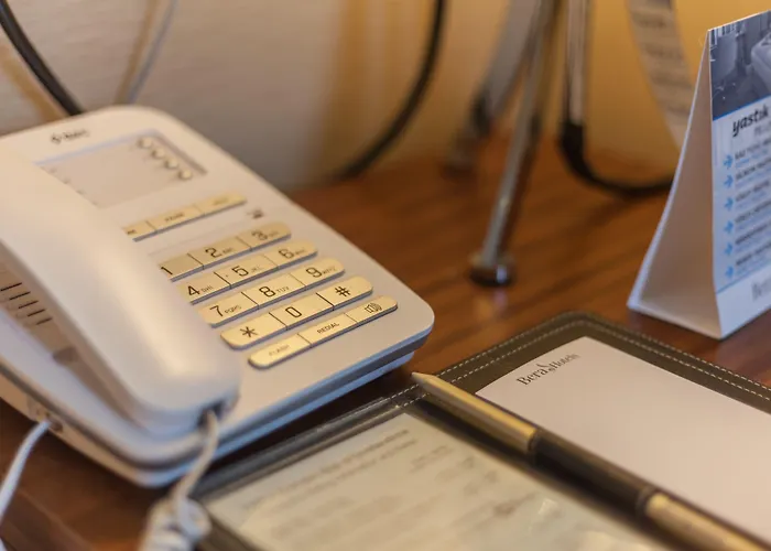 فندق New Park 5*